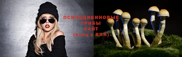 МДПВ Абаза
