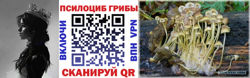 ОМГ ОМГ как войти  Шарыпово  Галлюциногенные грибы MAGIC MUSHROOMS  наркошоп 